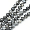 Natural Larvikite Beads Strands X-G-R345-6mm-33-1