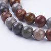 Natural Ocean Jasper Beads Strands G-P318-01-6mm-3