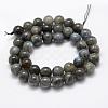 Natural Labradorite Beads Strands G-P322-31-10mm-2