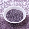 MIYUKI Round Rocailles Beads SEED-JP0008-RR0256-2