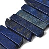 Natural Lapis Lazuli Beads Strands G-S386-D13-2