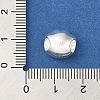 925 Sterling Silver European Beads STER-NH0001-29S-3