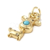 Rack Plating Brass Micro Pave Cubic Zirconia Enamel Pendants KK-K377-88G-01-2