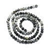 Natural Hawk's Eye Beads Strands G-P457-A03-06-3
