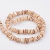 Natural Shell Bead Strands X-BSHE-P021-14-2