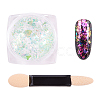 Nail Art Glitter Powder MRMJ-Q046-010J-1