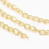Iron Twisted Chains CH-0.7DK-G-1