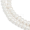 Electroplated Shell Pearl Beads Strands BSHE-Z009-11-4