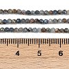 Natural Kyanite Beads Strands G-RM2025-A34-2mm-5