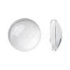 Transparent Glass Cabochons GGLA-R026-10mm-1