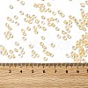 12/0 Transparent Glass Seed Beads SEED-F003-03C-14-4