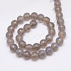 Natural Grey Agate Beads Strands G-G580-10mm-08-2
