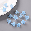 Transparent Acrylic Beads PLF018-06-7