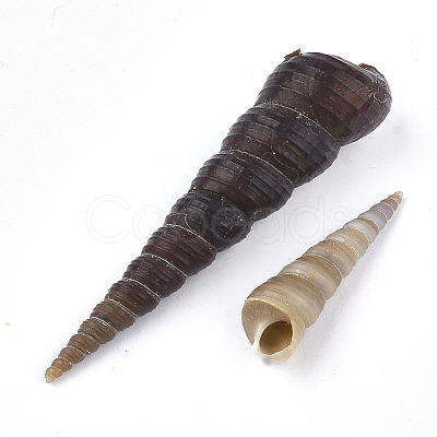 Spiral Shell Beads SSHEL-S258-34-1