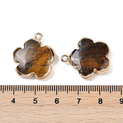 Natural Tiger Eye Pendants G-P566-01G-07-1