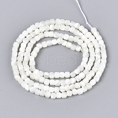 Natural Trochid Shell/Trochus Shell Beads Strands SSHEL-N041-04A-01-1