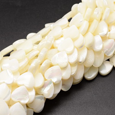 Natural Trochid Shell/Trochus Shell Beads Strands SSHEL-K012-01-A-1