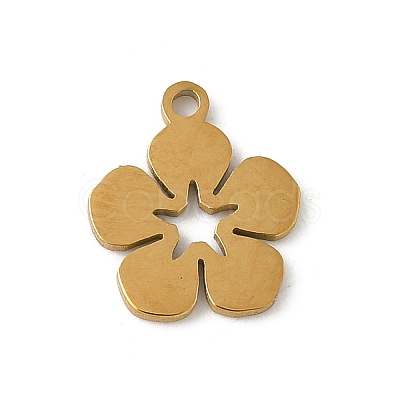 304 Stainless Steel Charms LS-STAS-G355-15G-1