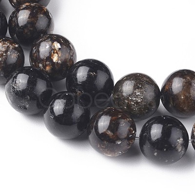 Natural Biotite Beads Strands G-L528-06B-1