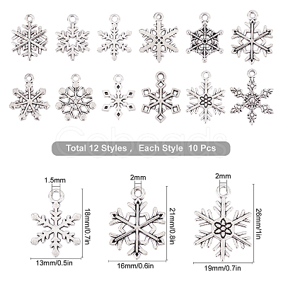 120Pcs 12 Style Tibetan Style Alloy Pendants TIBE-SC0001-63-1