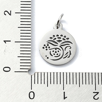 Non-Tarnish 304 Stainless Steel Charms STAS-C097-46P-04-1