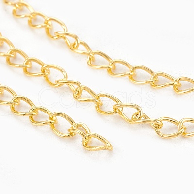 Iron Twisted Chains CH-0.7DK-G-1