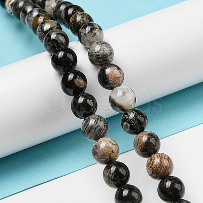 Natural Black Silver Leaf Jasper Beads Strands G-R494-A17-03-1