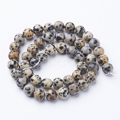 Natural Dalmatian Jasper Beads Strands X-GSR004-1