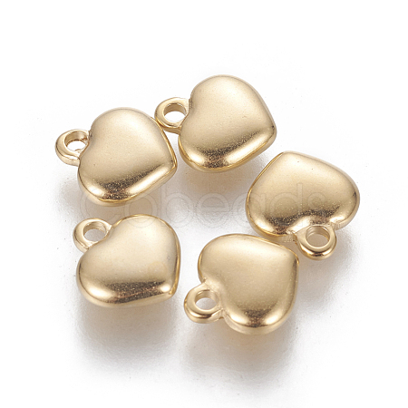 304 Stainless Steel Charms STAS-L233-052G-1