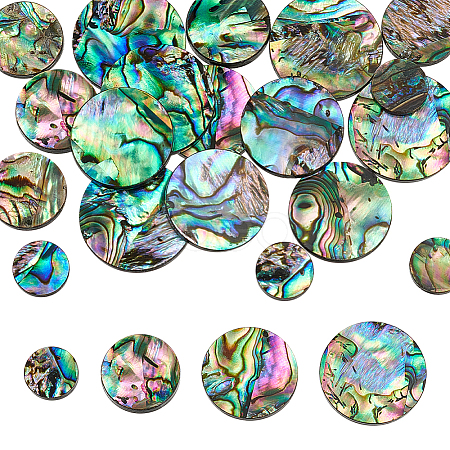 WADORN 20Pcs 4 Styles Natural Abalone Shell/Paua Shell Cabochons SHEL-WR0001-07-1