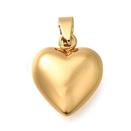304 Stainless Steel Pendants STAS-H200-01G-13-1