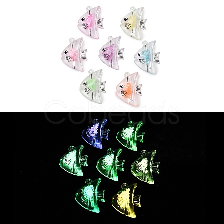 10Pcs Transparent Luminous Acrylic Pendants TACR-FP0001-02A-1
