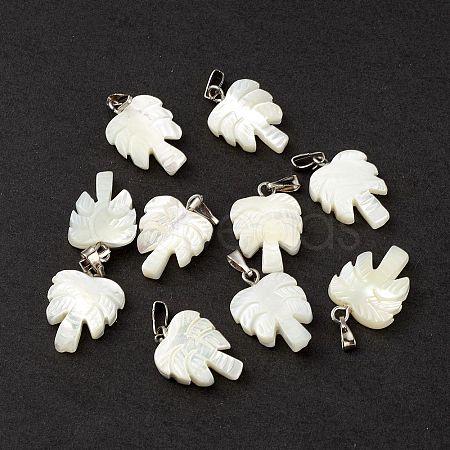 Natural Trochid Shell/Trochus Shell Pendants SSHEL-M021-10-1