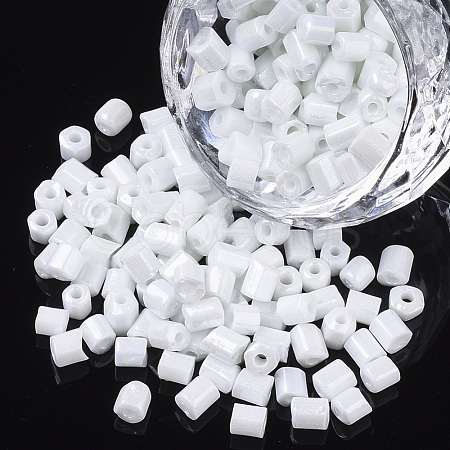 6/0 Two Cut Glass Seed Beads SEED-S033-07B-04-1