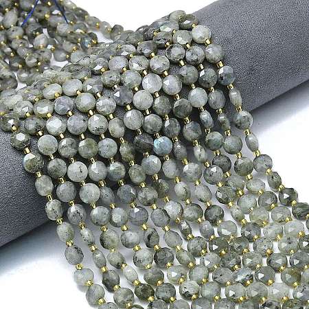Natural Labradorite Beads Strands G-C116-A65-02-1