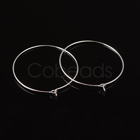 Silver Color Plated Brass Earring Hoops X-EC067-4S-1
