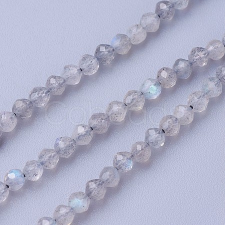 Natural Labradorite Beads Strands G-F619-15-3mm-1
