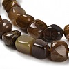 Natural Petrified Wood Beads Strands G-P497-01E-72-4