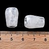 Two Tone Acrylic Beads OACR-S042-03A-3