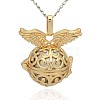 Golden Tone Brass Hollow Round Cage Pendants KK-J234-06G-1