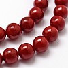 Shell Pearl Beads Strands BSHE-L026-01-6mm-3
