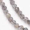 Natural Labradorite Bead Strands G-P213-38-3mm-1