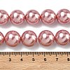 Electroplated Shell Pearl Beads Strands BSHE-G041-14mm-05-2