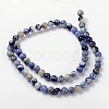 Natural Sodalite Beads Strand GSR10mmC013-3