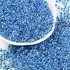 Transparent Inside Colours Glass Seed Beads SEED-A032-04D-1