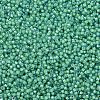 MIYUKI Delica Beads SEED-X0054-DB2053-3