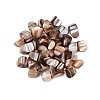 Natural Freshwater Shell Beads SHEL-ZX009-12-1