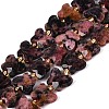 Natural Rhodonite Beads Strands G-N371-10A-05-2