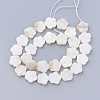 Natural Freshwater Shell Bead Strands SHEL-T001-A01-2