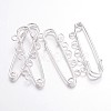 Iron Kilt Pins IFIN-E352-1-1